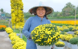Làng hoa Sa Đéc dập dìu chuyển hoa từ ruộng lên phố trang trí Tết tây
