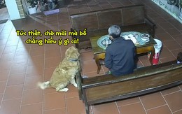 Cậu vàng buồn vì đi mua bánh về nhờ bóc mà sen không hiểu ý