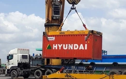 Xuất nhập khẩu của Việt Nam lần đầu cán mốc 900 tỉ USD