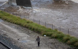 Mưa kỷ lục trút xuống bang đông người Việt ở Mỹ, chính quyền ban bố tình trạng khẩn cấp