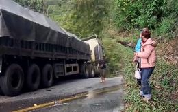 Tai nạn liên hoàn trên đèo Bảo Lộc, 2 phụ nữ nhảy khỏi xe máy thoát chết trong gang tấc