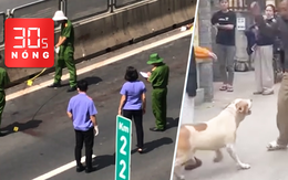 Bản tin 30s nóng: Điều tra vụ thi thể không nguyên vẹn trên cao tốc; Xác minh clip xua chó cắn người