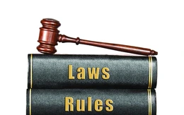 Nhìn lại một năm làm luật