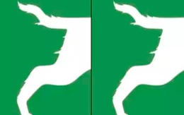 Quiz: Bạn quyết đoán hay là người giỏi hòa giải