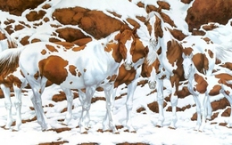 Quiz: Bạn tốt bụng hay là người linh hoạt và dễ thích nghi