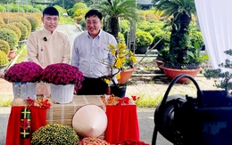 Vựa hoa, nhà vườn miền Tây tất bật livestream bán hoa Tết sớm cùng người nổi tiếng