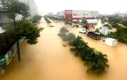 Tổ chức Khí tượng thế giới: Mưa lũ ở Việt Nam vừa qua 'thực sự khủng khiếp', còn nhiều đợt mưa nữa