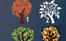 Quiz: Bạn thông minh, tháo vát hay là người điềm đạm, lý trí