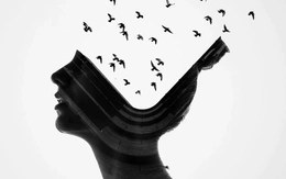 Quiz: Bạn sở hữu nội tâm mạnh mẽ hay là người thiên về lý trí