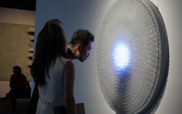 Chuyện đám bèo hoa dâu Việt Nam được Phạm Tuân mang lên vũ trụ bước vào tác phẩm nghệ thuật