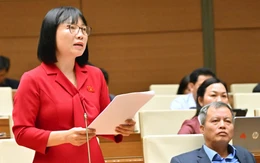 Kỳ họp thứ 10 Quốc hội khóa XV