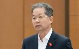 Chủ tịch nước có thể bổ nhiệm thẩm phán tòa án chuyên biệt là luật sư, người nước ngoài