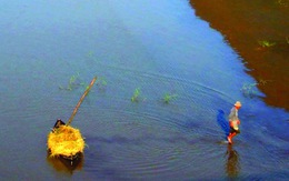 Lũ Hòa Thịnh, rầm nhà và sõng tre