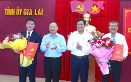 Điều động, chỉ định Chủ nhiệm Ủy ban Kiểm tra Tỉnh ủy Gia Lai và Quảng Ngãi