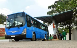Nguy cơ dừng xe buýt CNG đã được gỡ