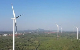 Hai nhà máy điện gió 4.000 tỉ tại Gia Lai được phát điện sau ba năm 'đắp chiếu'