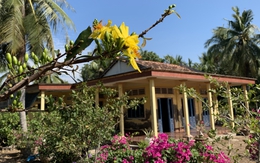 Mái ấm ngày xuân