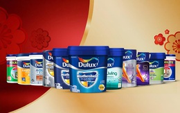 AkzoNobel tăng cường hoạt động chống sơn giả