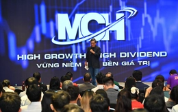 'Viên kim cương gia bảo' của Chủ tịch Masan