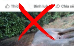 Đăng tin giả voi rừng ở Đồng Nai bị điện giật chết, chủ tài khoản Chị Nấm bị phạt 7,5 triệu đồng