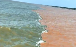 'Nước biển 2 màu' kéo dài hàng chục cây số ở Cà Mau gây sốt mạng xã hội