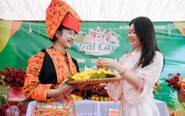 Lễ hội Trái cây Bắc Ninh khai mạc, góp hơn 630 triệu ủng hộ dân vùng lũ miền Trung - Tây Nguyên