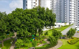 The Habitat Binh Duong giai đoạn 3 đạt chứng nhận EDGE