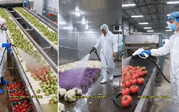 Thực hư hình ảnh phun thuốc làm chín trái cây trong tích tắc ở Trung Quốc?