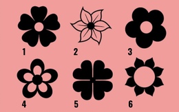 Quiz: Điều gì mang lại hạnh phúc cho bạn?