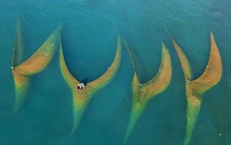 Nhiếp ảnh Việt Nam nhìn qua thấy đẹp nhưng mãi ở lối mòn