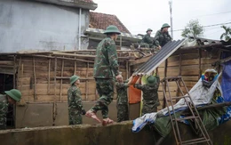 Mùa đi, mùa đến...