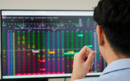 Những ông lớn bảo hiểm rót nghìn tỉ vào chứng khoán nhưng 'đau đầu' vì... tạm lỗ