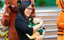 'Chủ tịch' Mika: Từ chú mèo hoang vươn mình thành 'chủ tịch' triệu fan