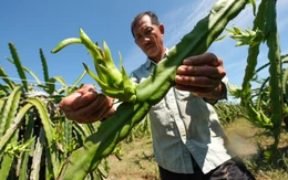 Mưa lũ miền Trung