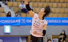 Đội bóng Nhật Bản thua trận đầu tiên khi vắng Thanh Thúy