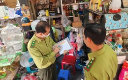 Phát hiện 341 chim cảnh trong cửa hàng không có hồ sơ hợp pháp