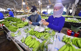 Tây Ninh là điểm đến mới của ngành chế biến sâu, thực phẩm chất lượng cao