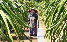 Dân thiệt hại nặng vì hồ xả lũ, công ty không có tiền đền