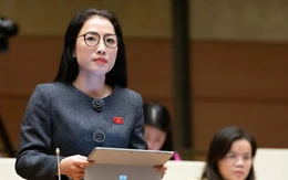 Ủng hộ khung pháp luật khác biệt cho TP.HCM, đại biểu nói phải tạo cơ chế hấp dẫn nhà đầu tư