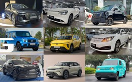 Hàng loạt xe điện ồ ạt đổ bộ Việt Nam năm 2025