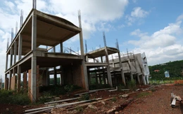 Cử tri Lâm Đồng bức xúc vì bất cập trong quy hoạch khoáng sản