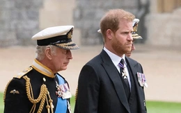 Sự thật về video Hoàng tử Harry 'mất kiểm soát' vì kết quả xét nghiệm DNA