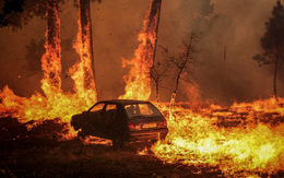 Năm 2025 có thể là năm nóng thứ hai trong lịch sử Trái đất