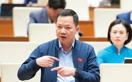 Phân bón đang áp thuế VAT 5%, đại biểu tranh luận việc đưa ra khỏi đối tượng chịu thuế