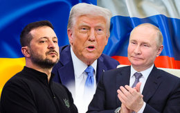 Chi tiết điện đàm của ông Trump với ông Putin và ông Zelensky