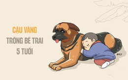 Hưng Yên: Bé trai đi lạc được chú chó nằm cạnh trông suốt đêm