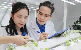 Trường đại học Công nghệ miễn học phí, hỗ trợ 5 - 7 triệu đồng/tháng cho người học thạc sĩ, tiến sĩ