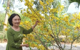 Về nhà với mẹ thôi