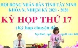 Tây Ninh sắp xếp bộ máy hành chính, còn 10 sở và 2 cơ quan tương đương