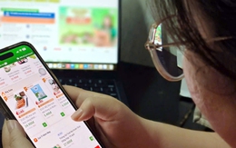 Dịch vụ đi chợ online 'nay đặt, mai nhận', giúp việc qua app 'kiểu mới'